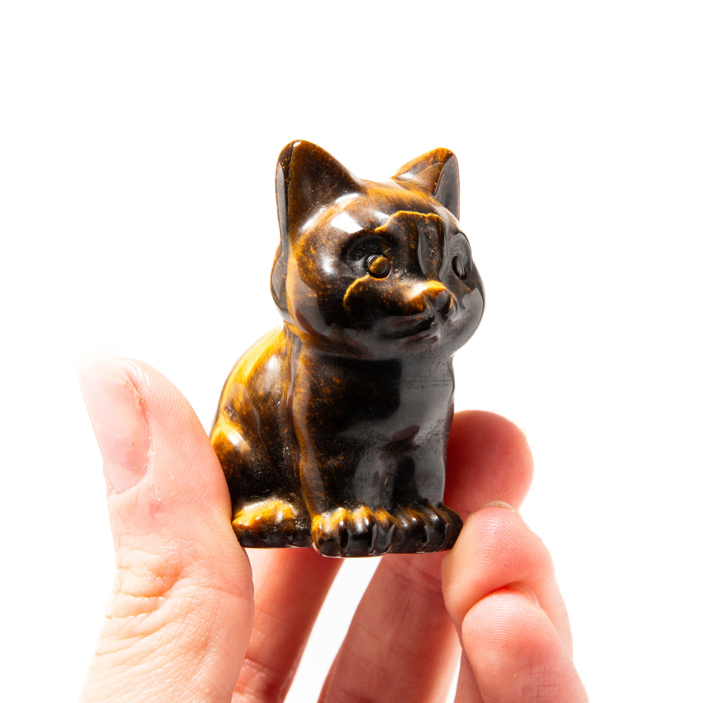 Tiger Eye Cat- 5cm