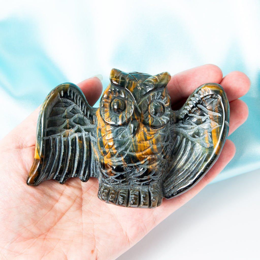 Falcon Eye Owl - 247g