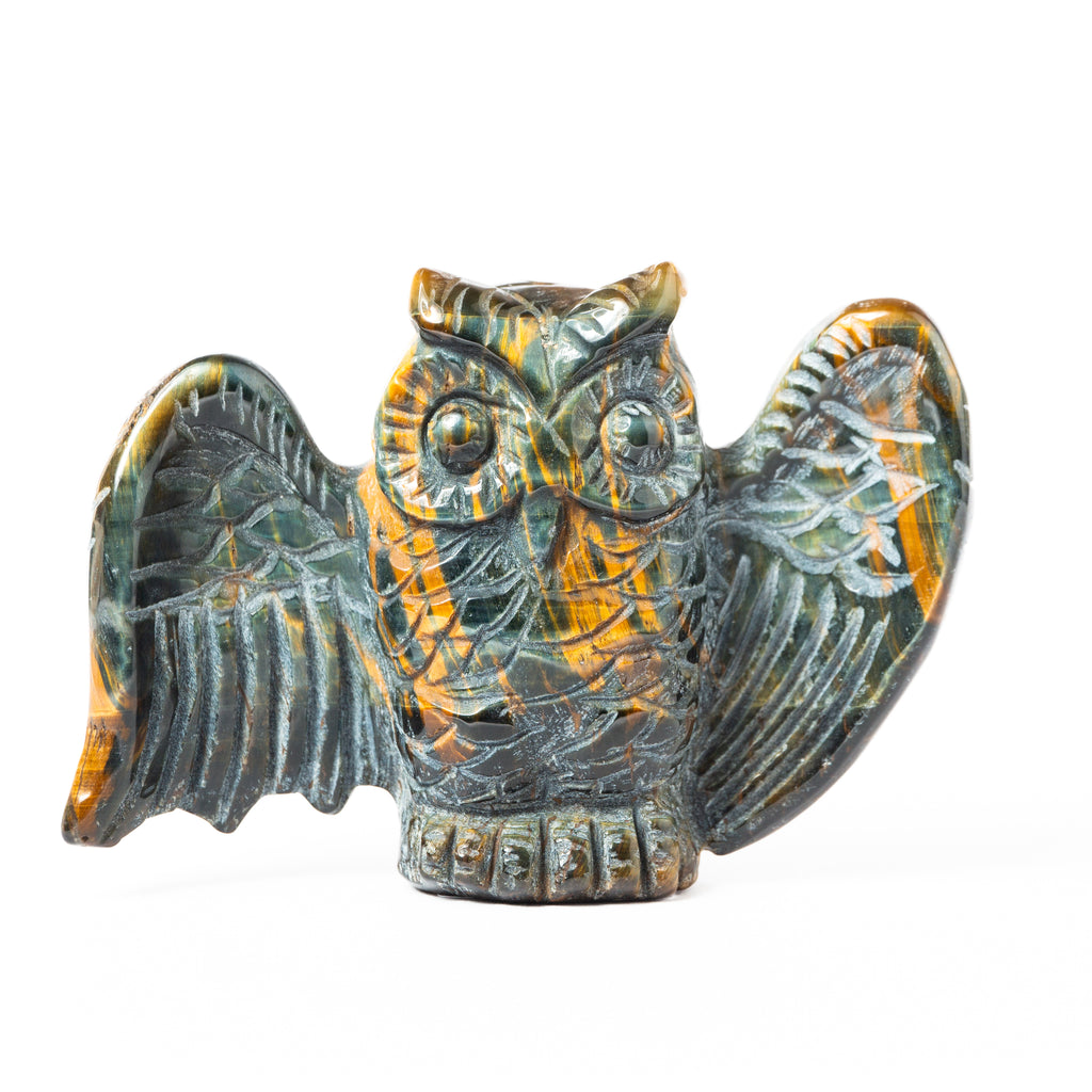 Falcon Eye Owl - 247g