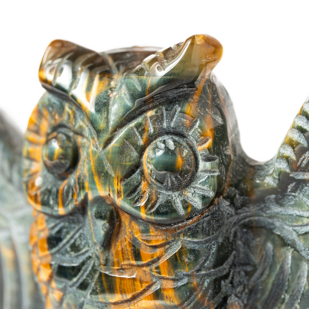 Falcon Eye Owl - 247g