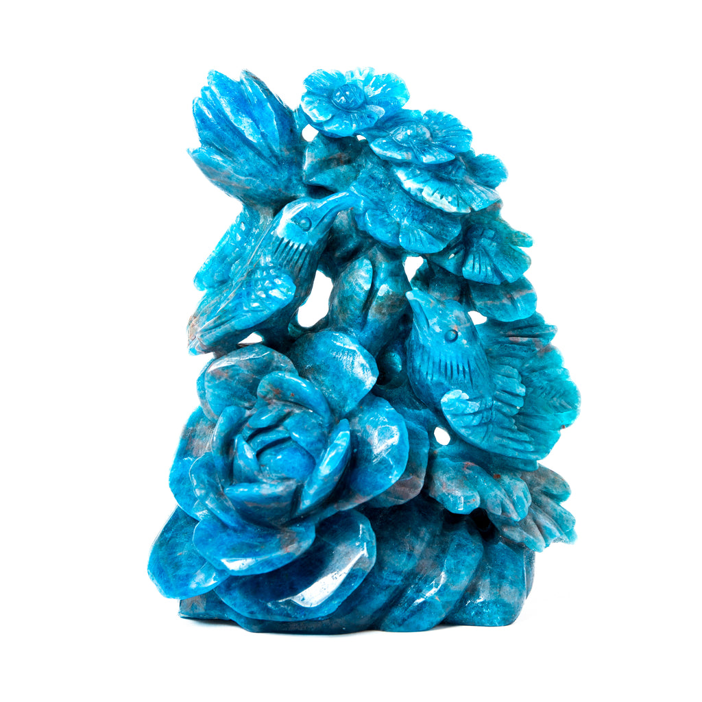Blue Apatite Birds and Flowers - 780g