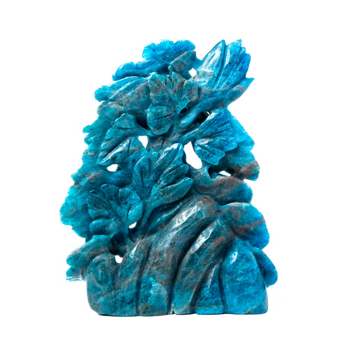 Blue Apatite Birds and Flowers - 780g