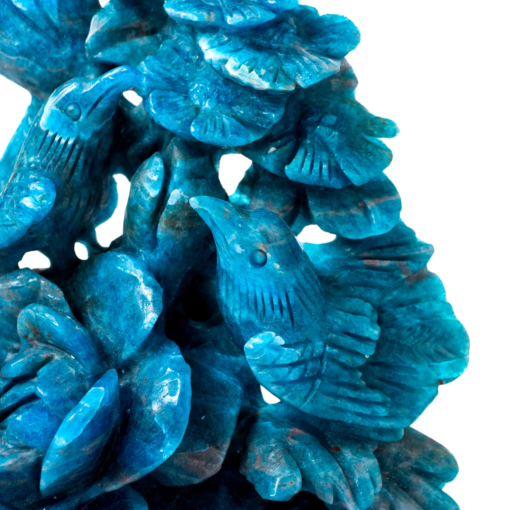 Blue Apatite Birds and Flowers - 780g