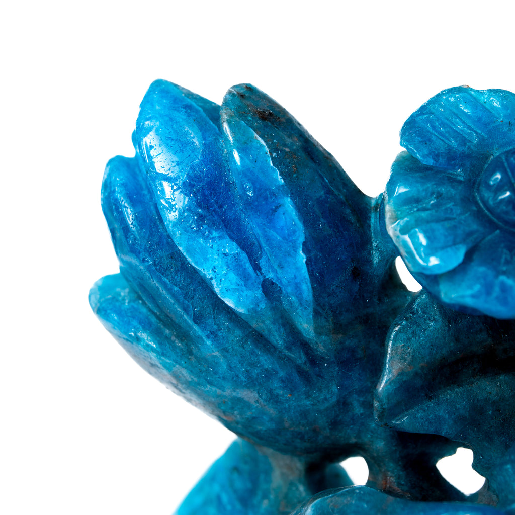 Blue Apatite Birds and Flowers - 780g