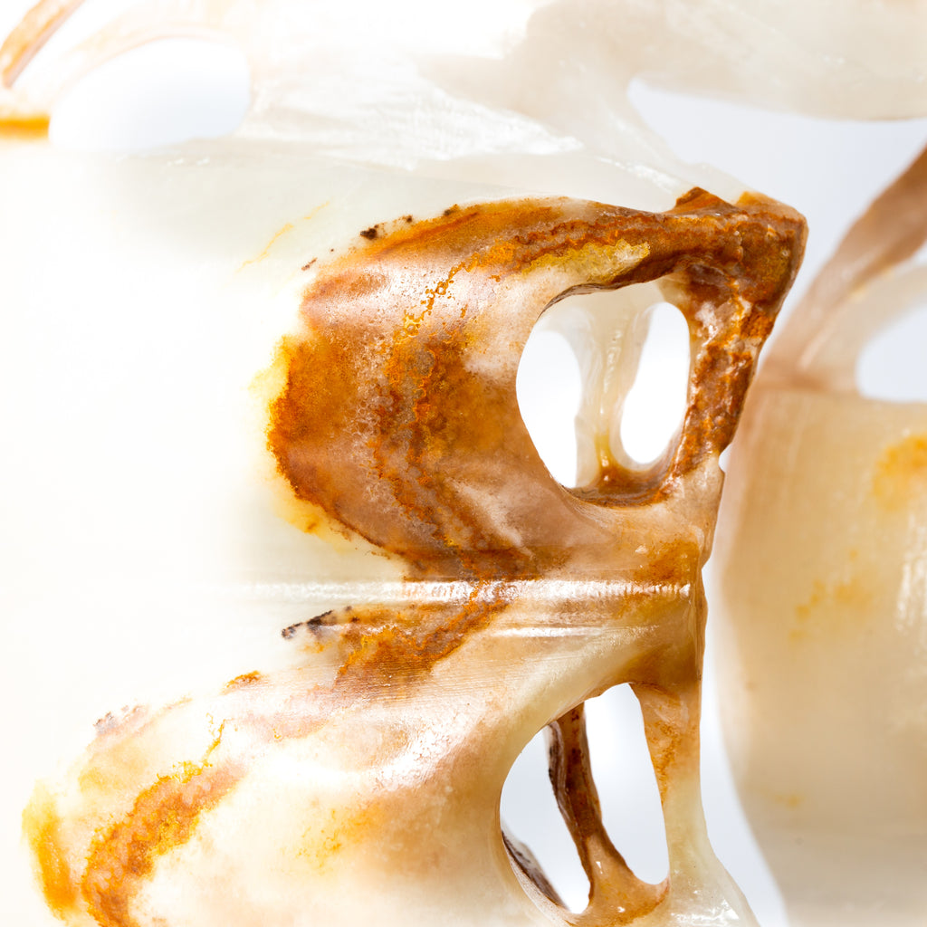 Pakistani Onix Dragon Boat - 1.6kg