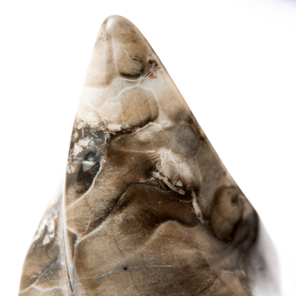 Volcanic Agate Frame - 13cm