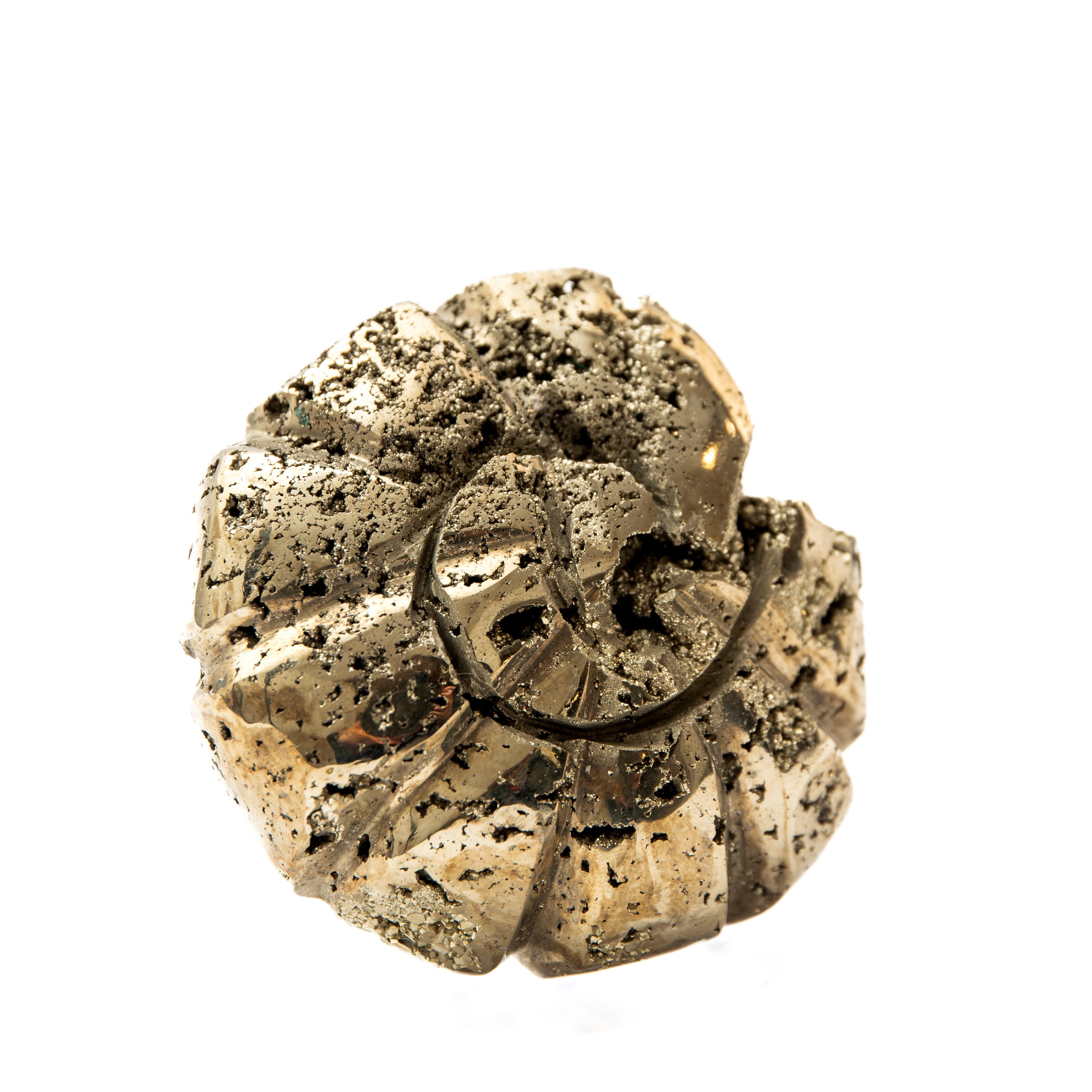 Pirit ammolit forma – 7cm