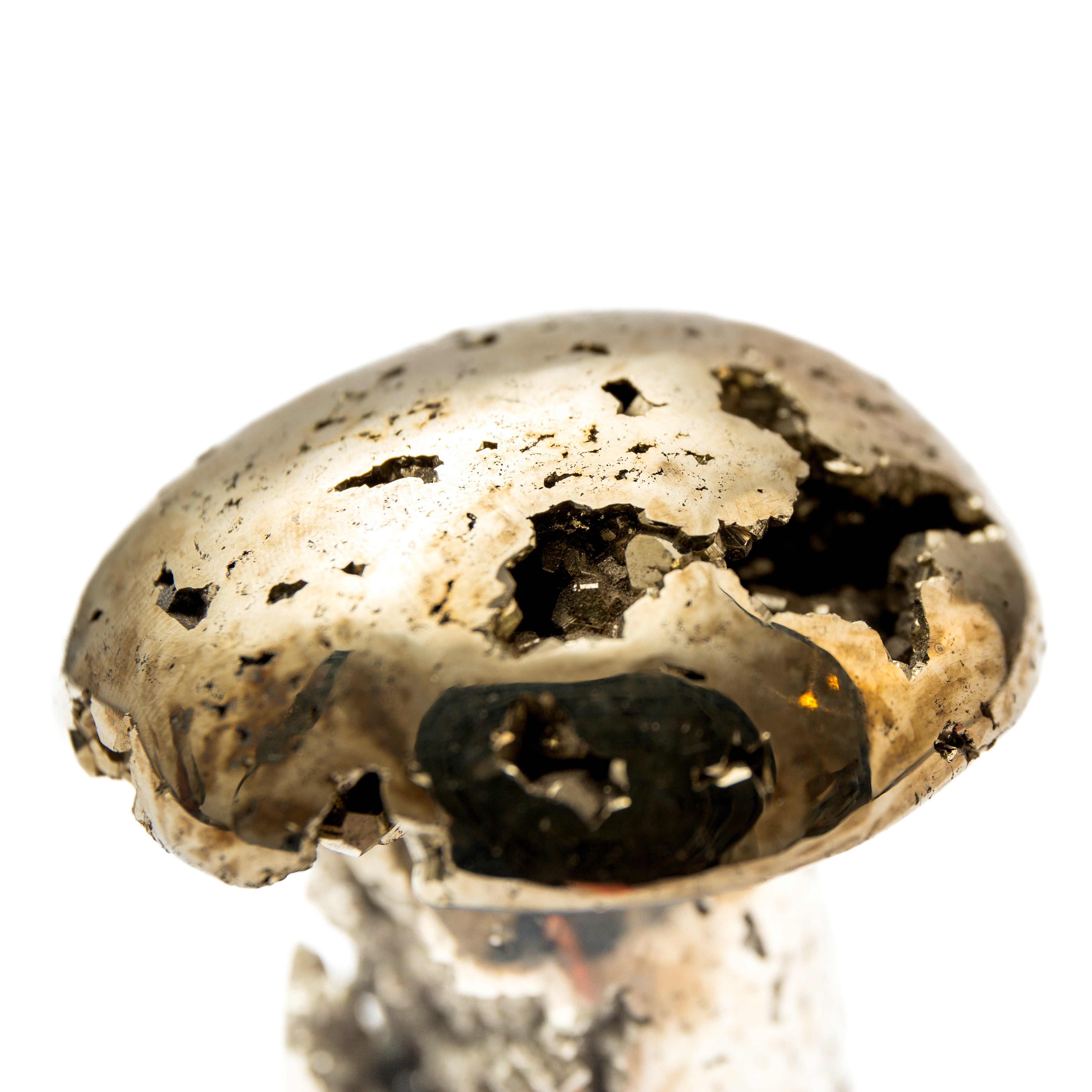 Pirit Gomba - 6cm / B