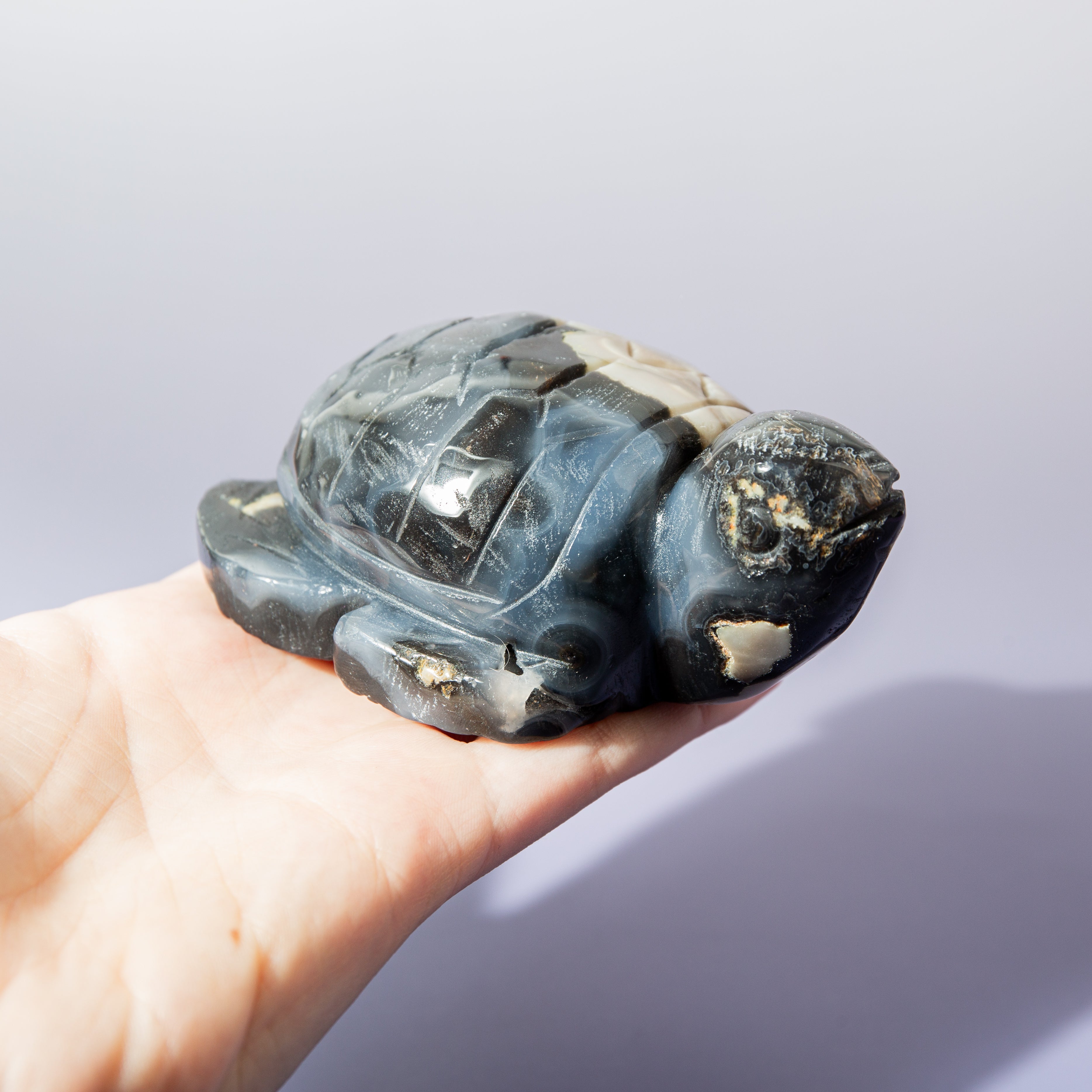 Vulkáni achát Teknős - 10 cm