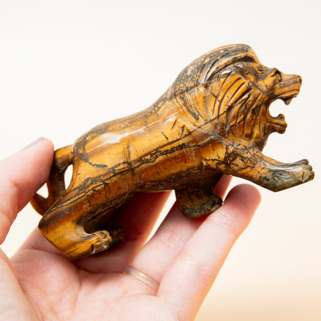 Tiger Eye Lion - 10cm/165g