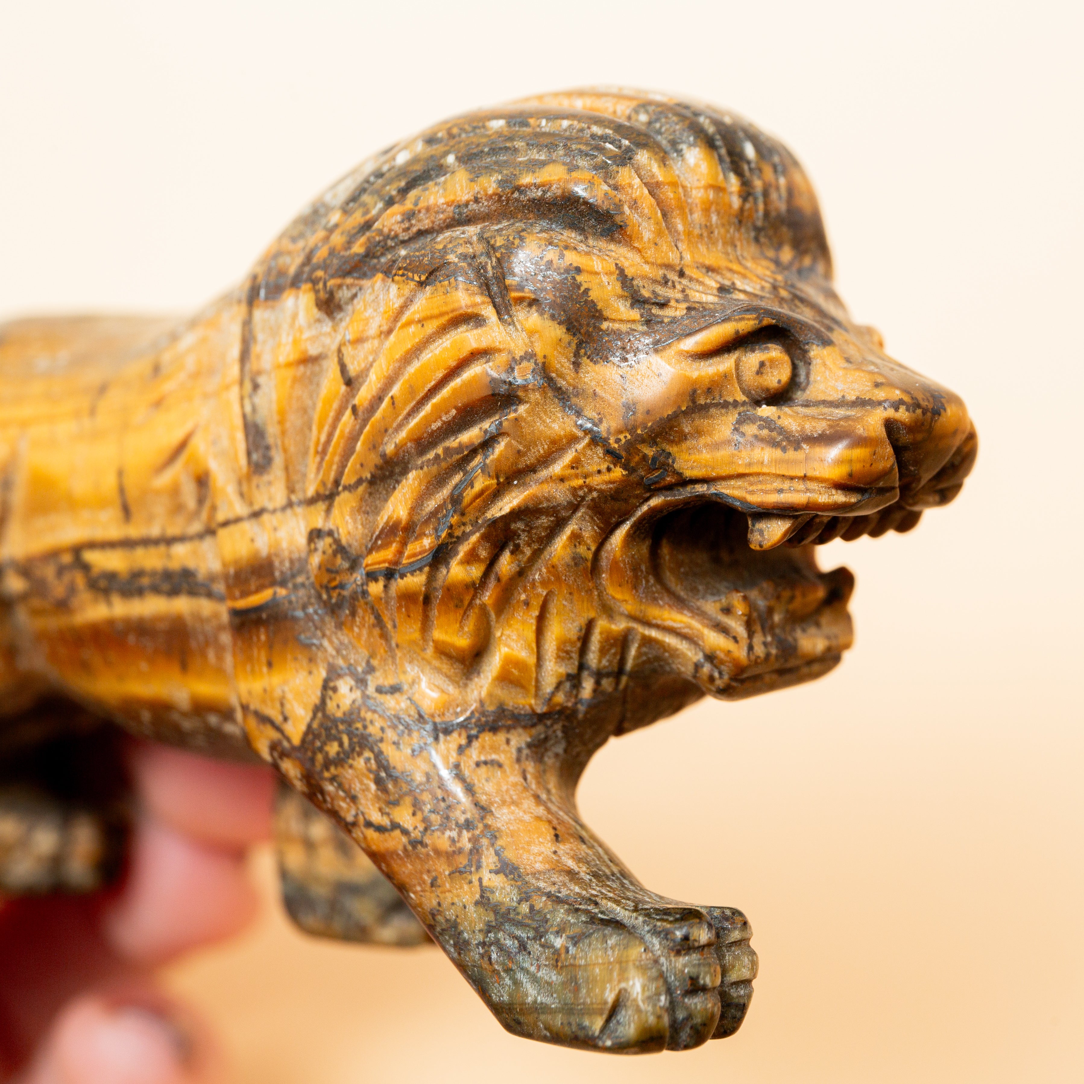  Tigrisszem Víziló - 9 cm/168 g