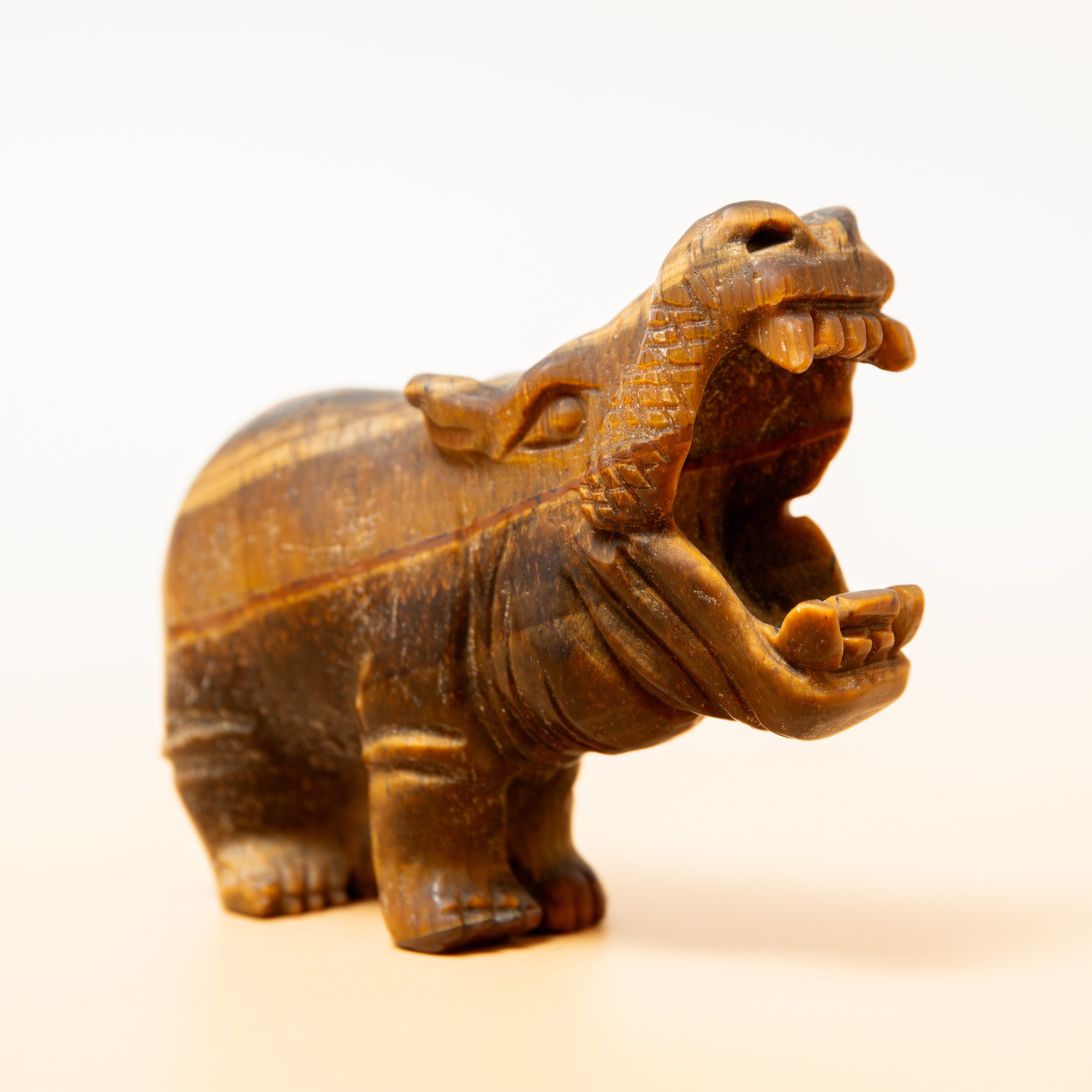  Tigrisszem Víziló - 9 cm/168 g