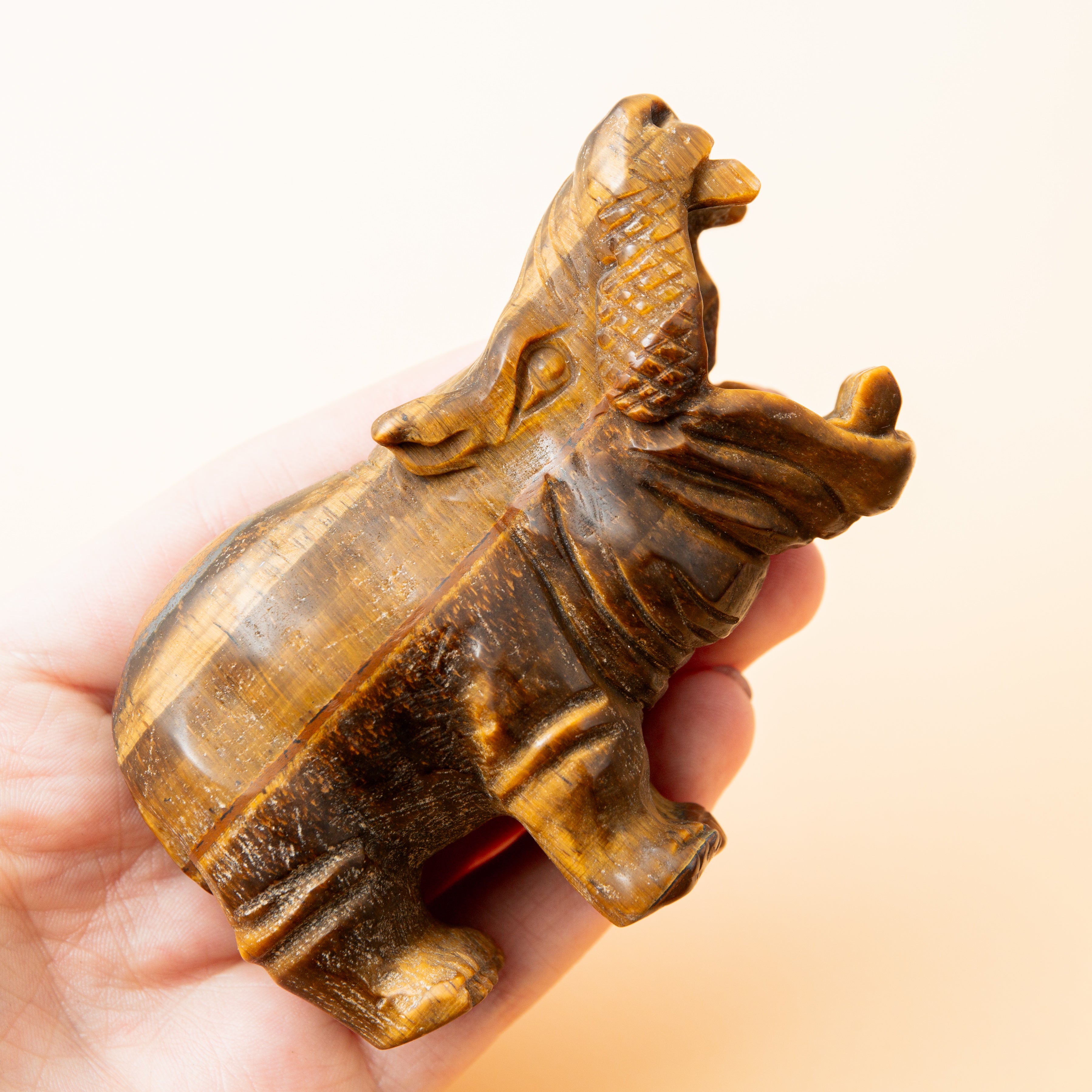  Tigrisszem Víziló - 9 cm/168 g