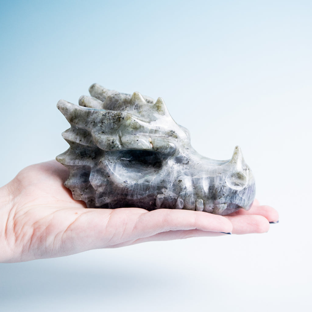 Labradorite Dragon Head - 600g