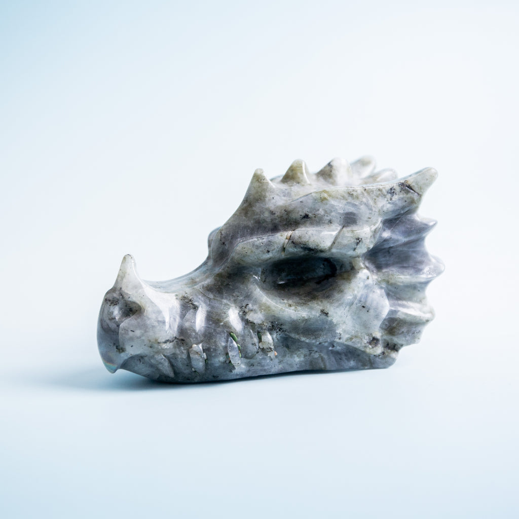 Labradorite Dragon Head - 600g
