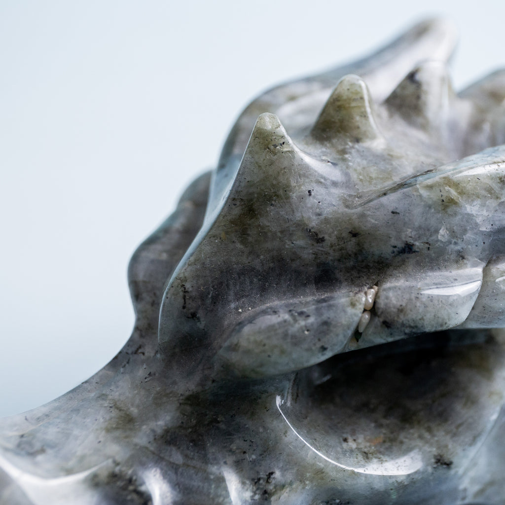 Labradorite Dragon Head - 600g