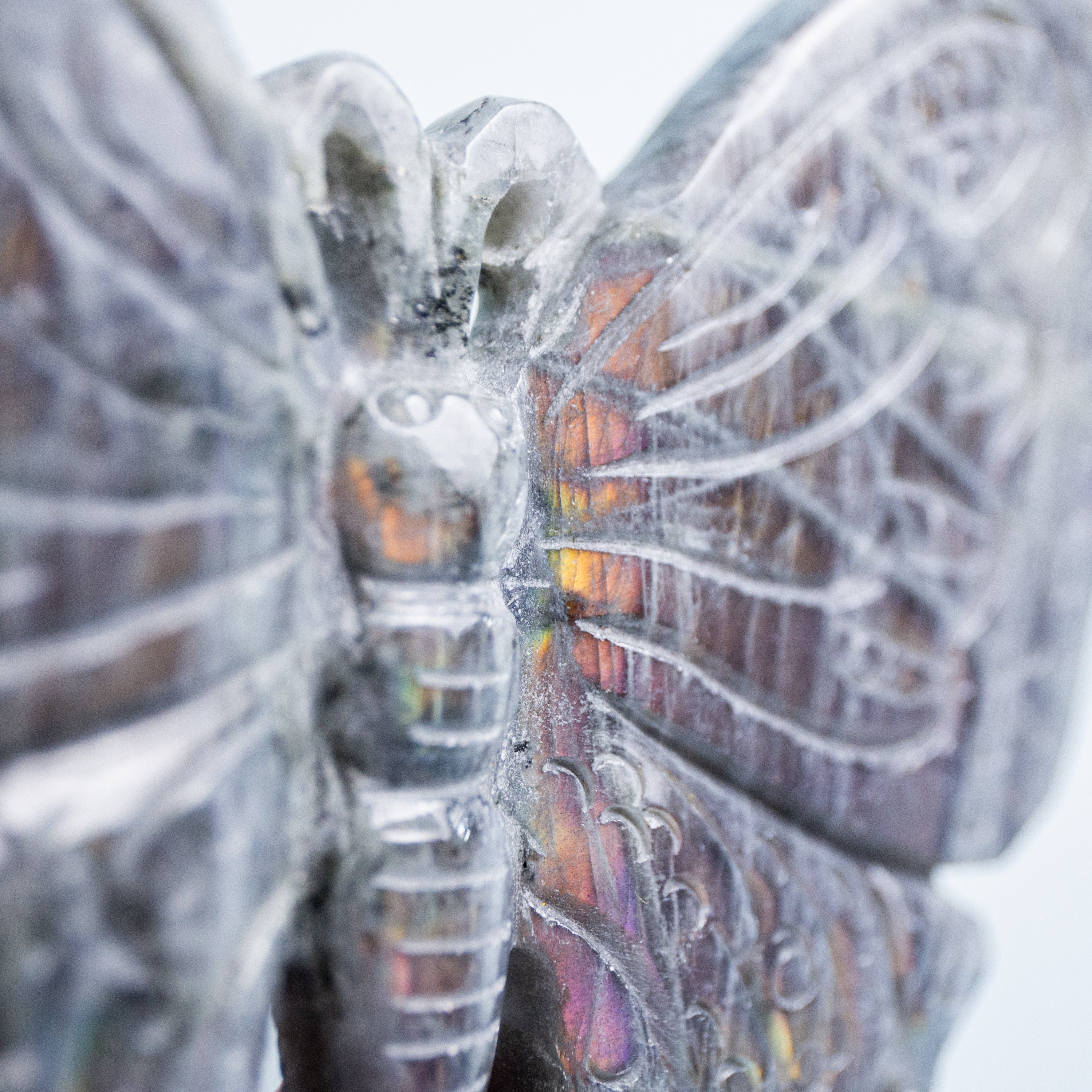 Labradorit Pillangó – 160g