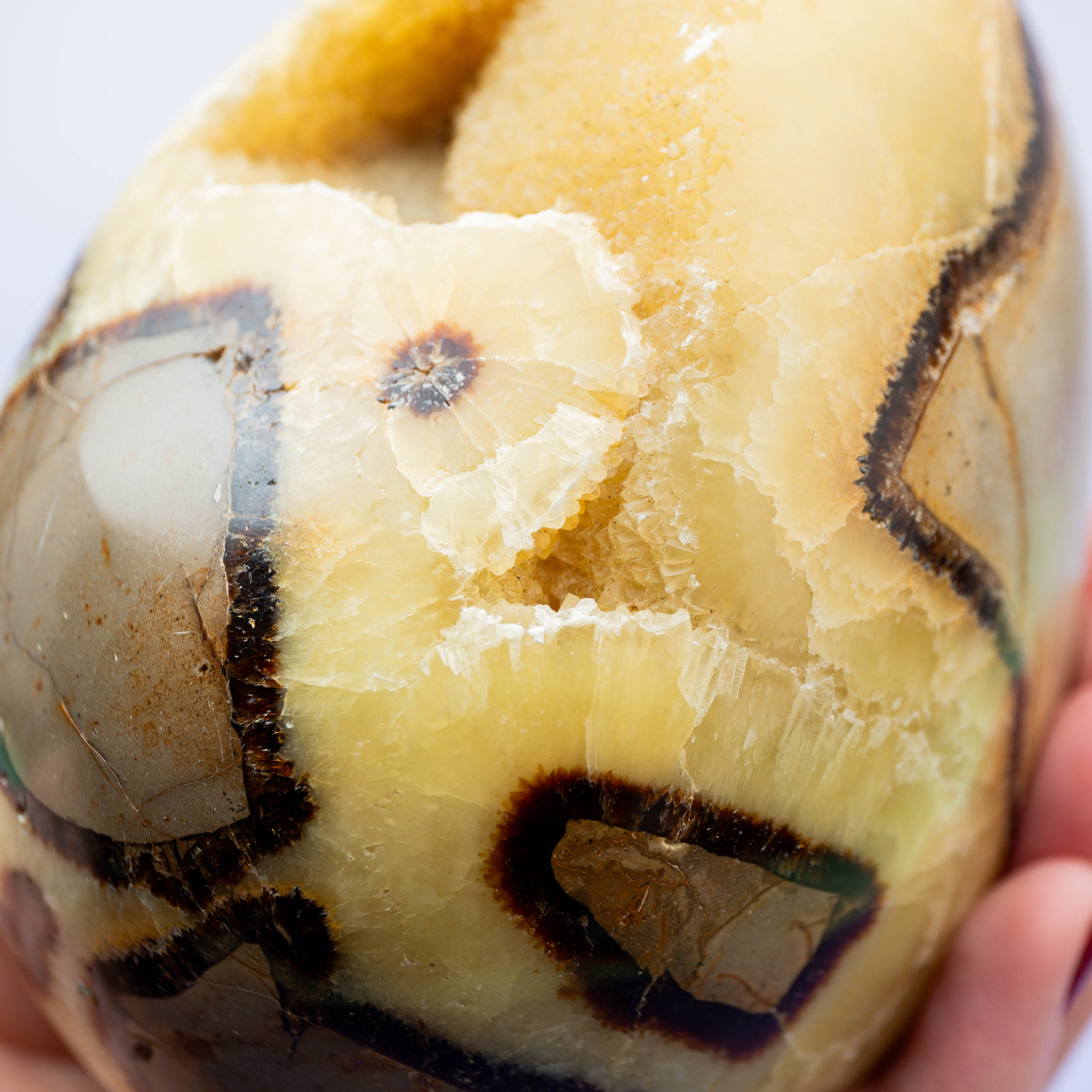 Szeptária Tojás – 1235g/12cm (A)