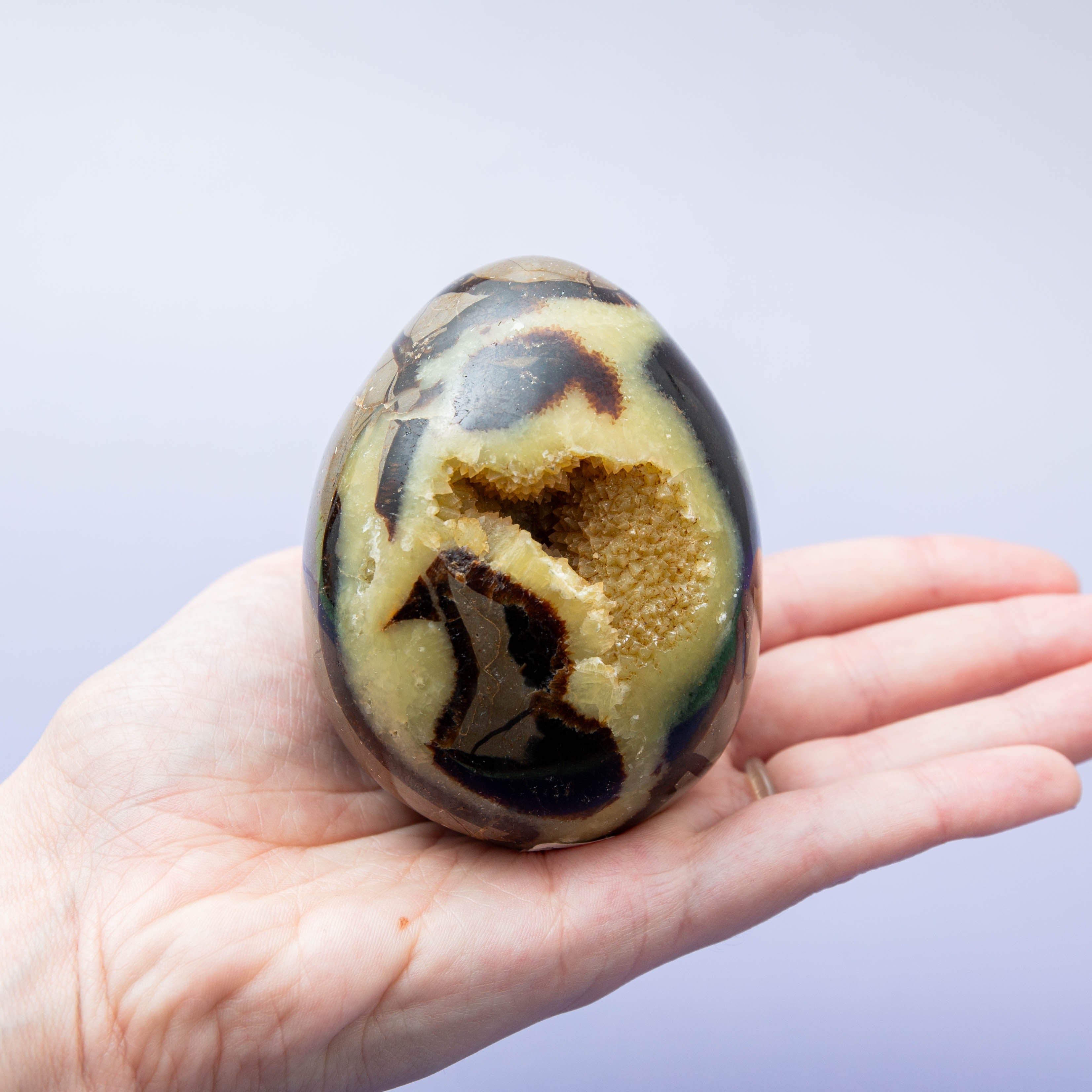 Szeptária Tojás – 408g/9cm (C)