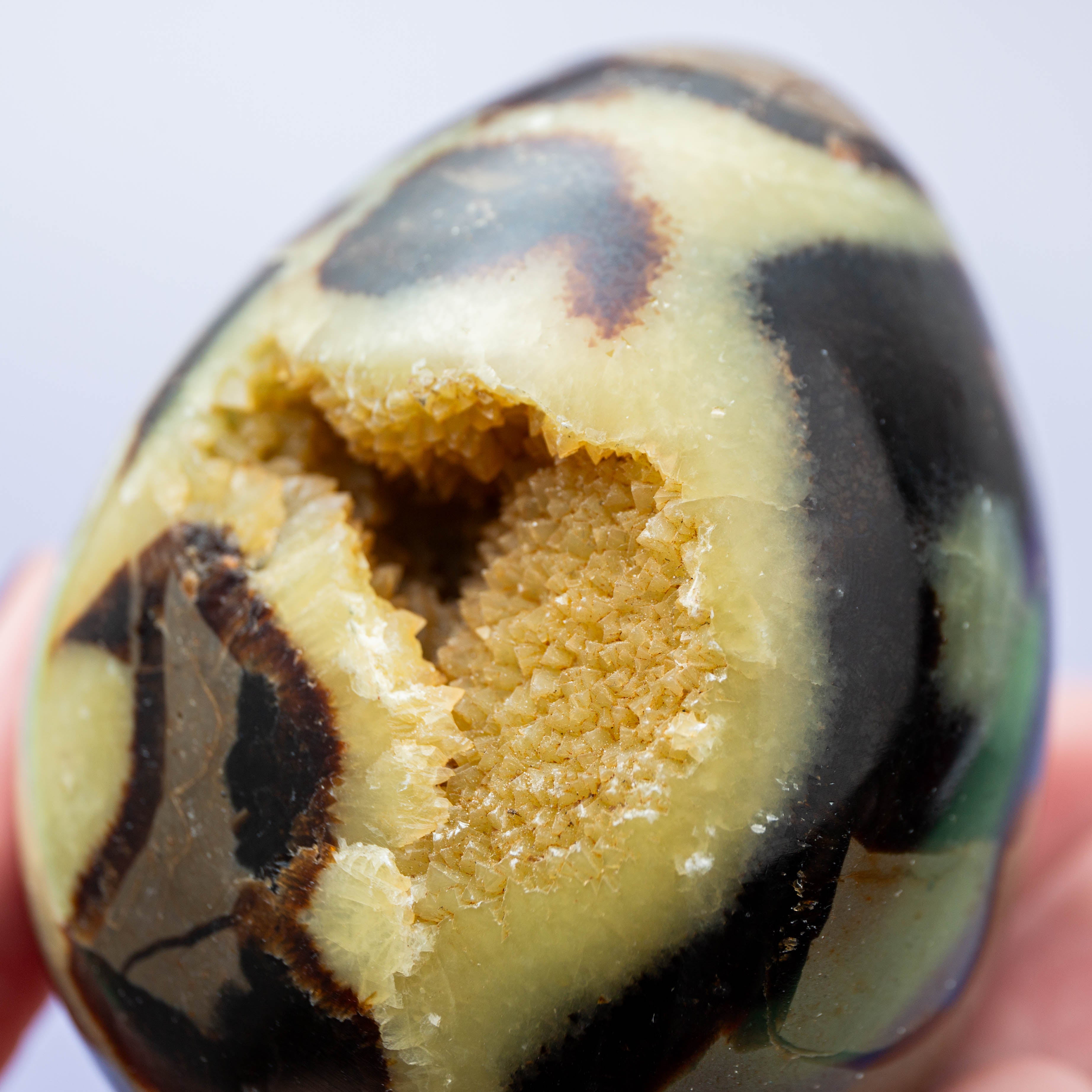 Szeptária Tojás – 408g/9cm (C)