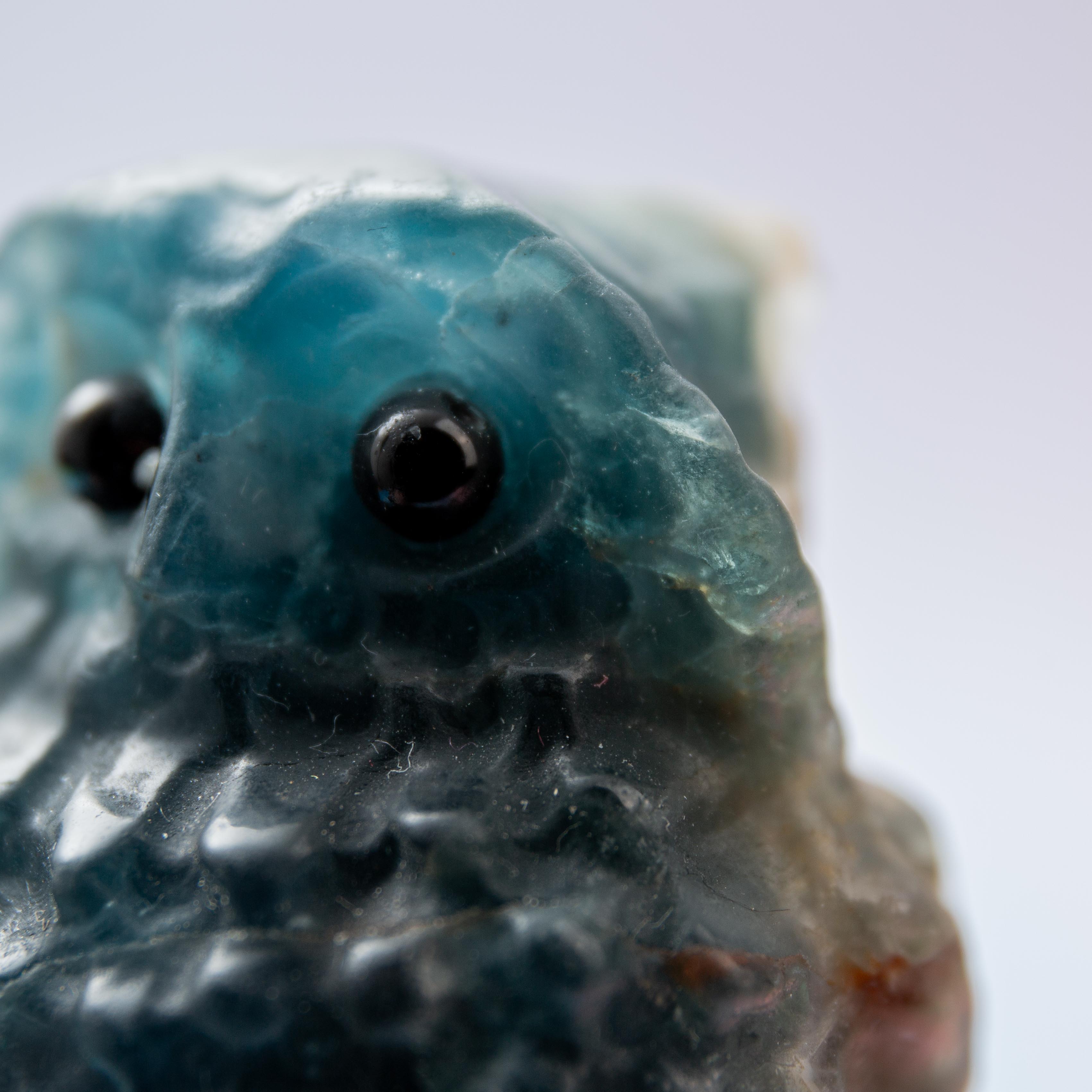Fluorite Owl - 4cm