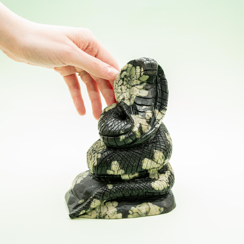 Chrysanthemum stone Snake - 1655g/15.5cm