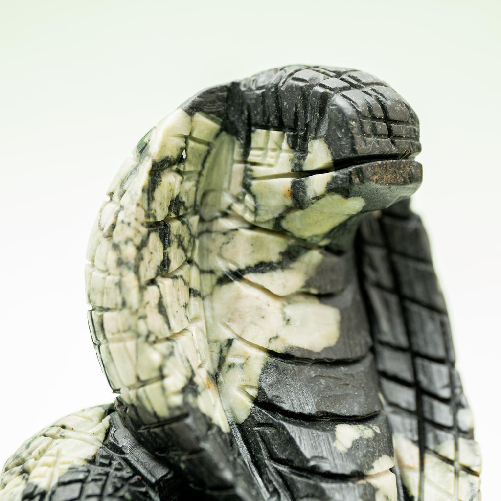Chrysanthemum stone Snake - 1655g/15.5cm