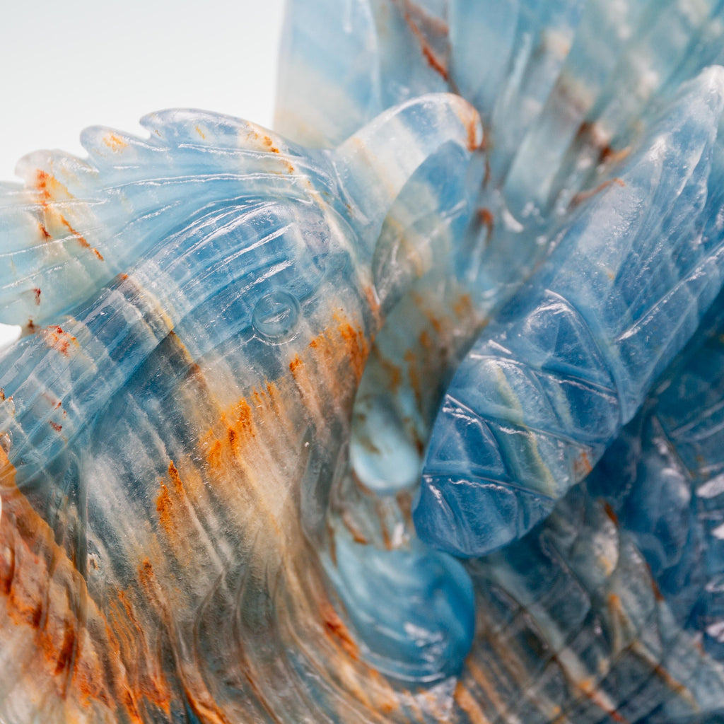 Blue Aragonite Phoenix - 763g/16cm