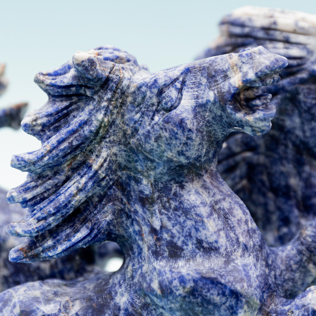 Sodalite Horse - 1488g/22*17*4.5cm