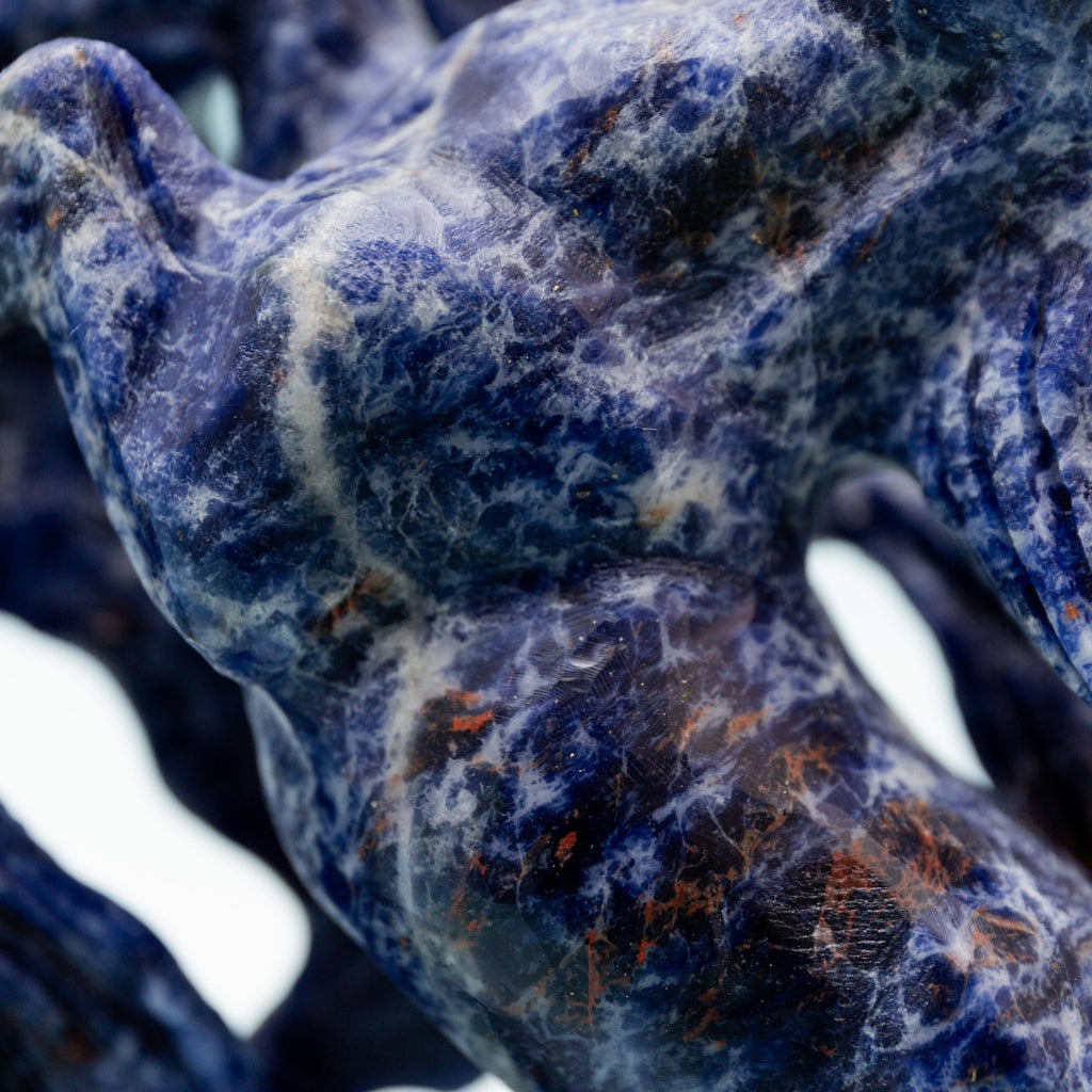 Sodalite Horse - 1488g/22*17*4.5cm
