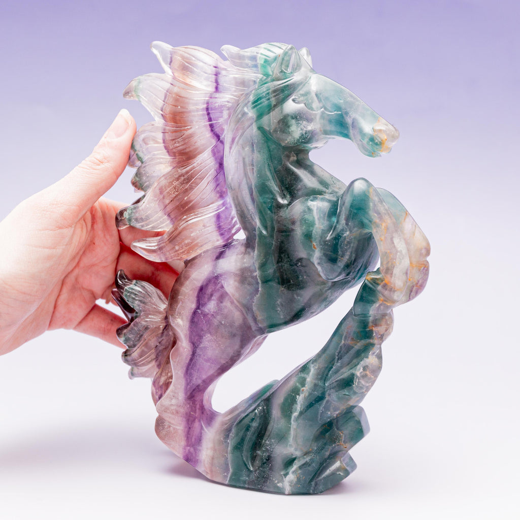 Fluorite Horse - 1.7kg/20cm