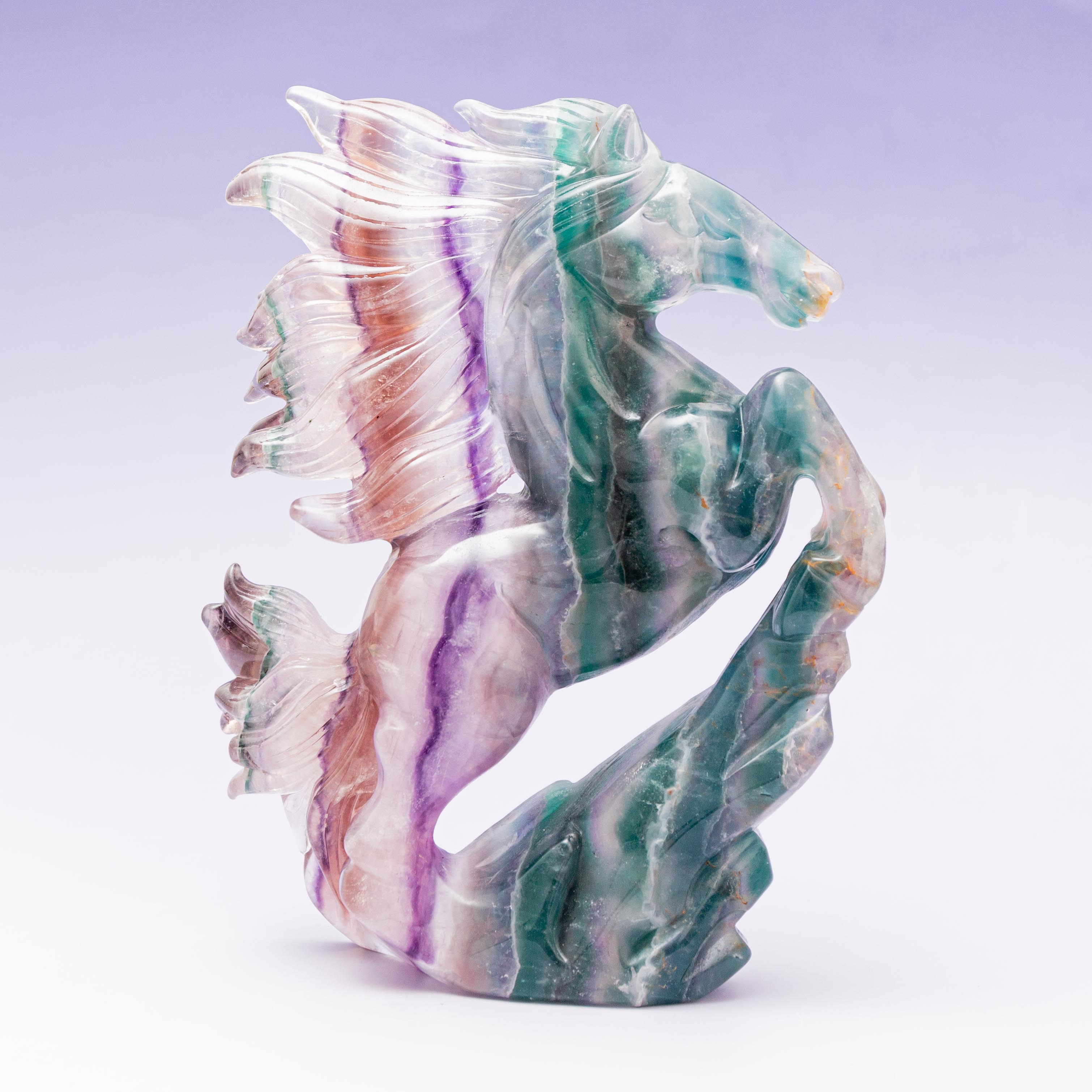 Fluorite Horse - 1.7kg/20cm