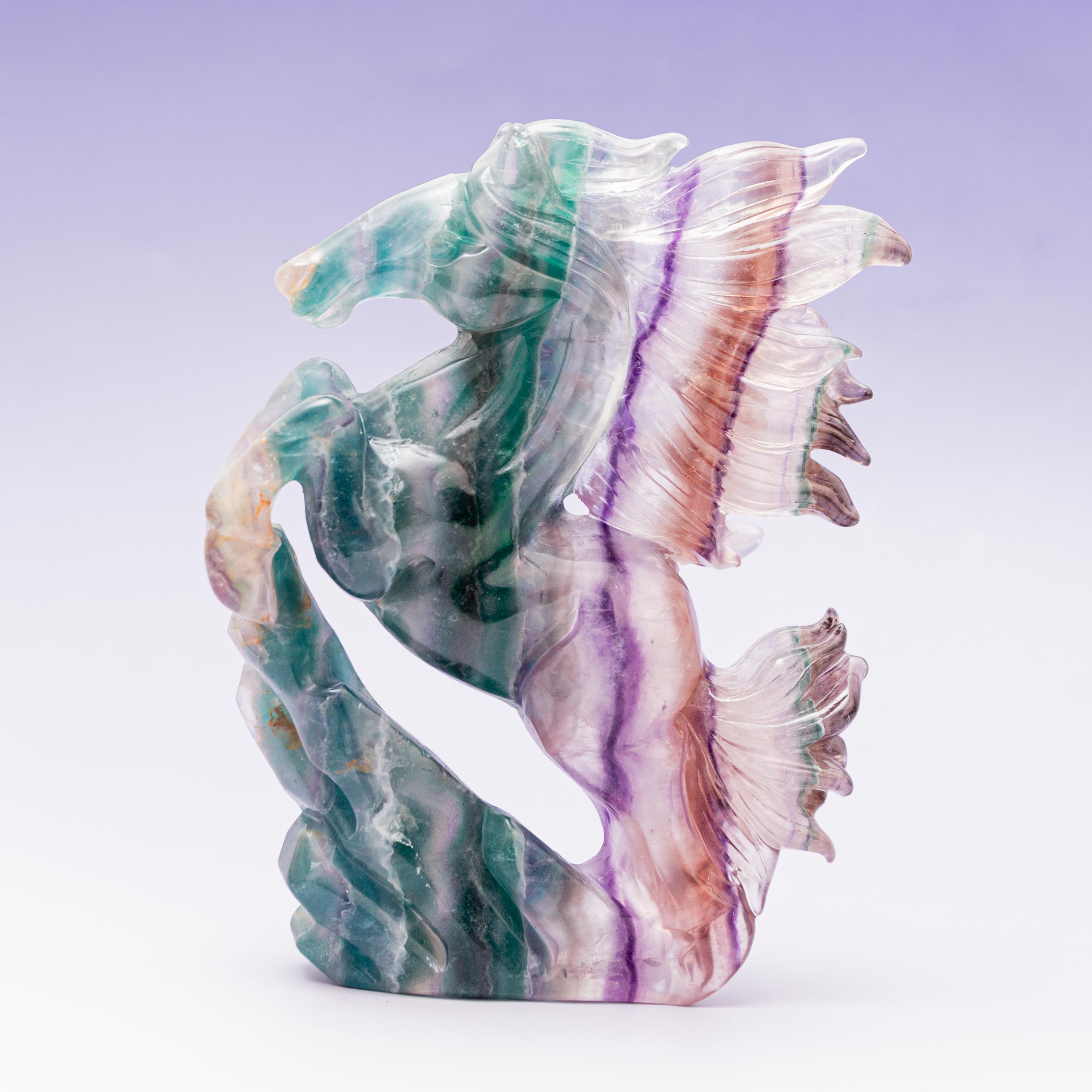 Fluorite Horse - 1.7kg/20cm