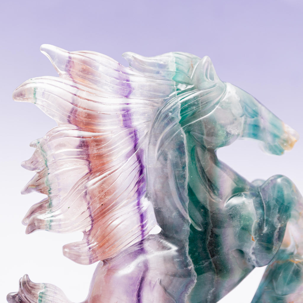Fluorite Horse - 1.7kg/20cm