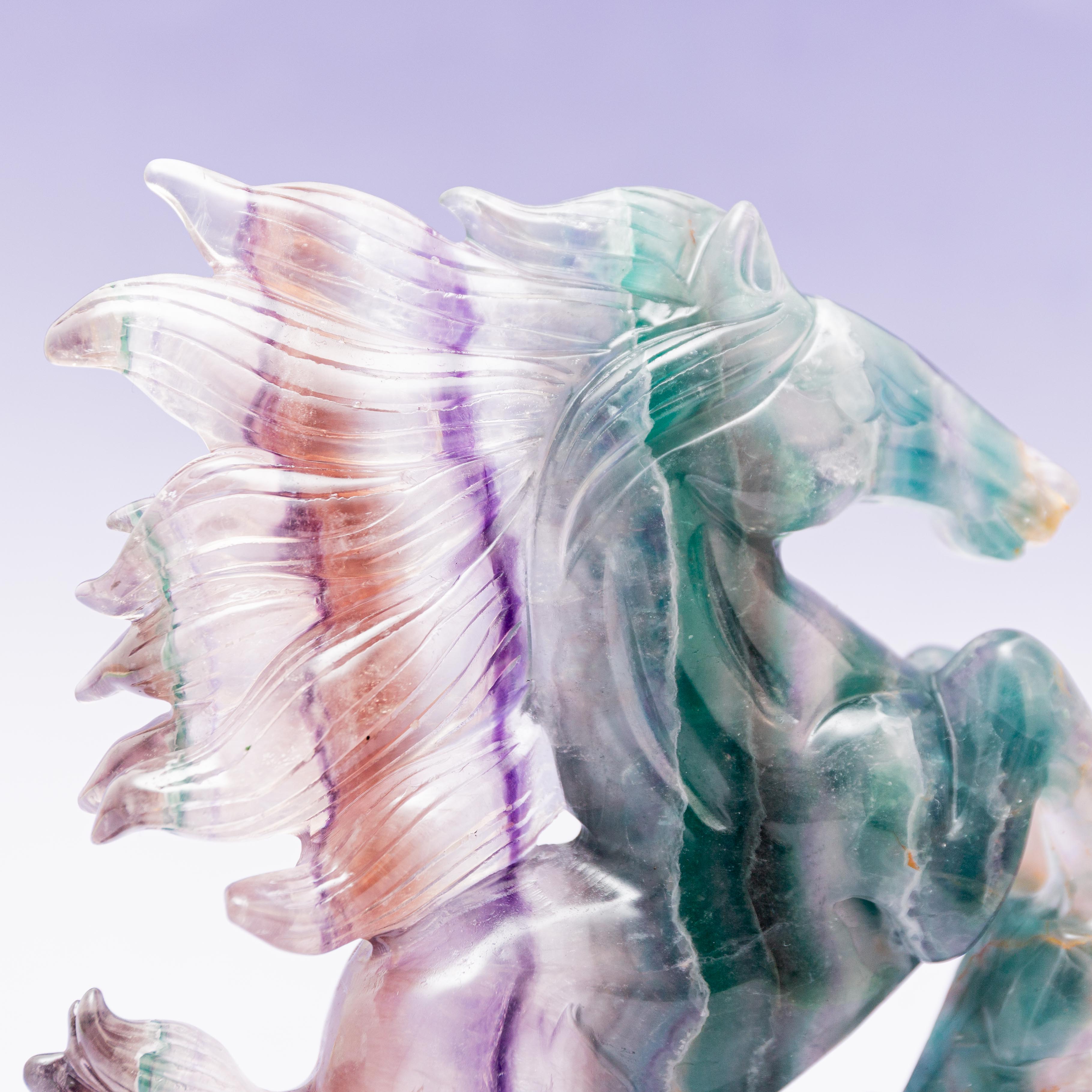 Fluorite Horse - 1.7kg/20cm