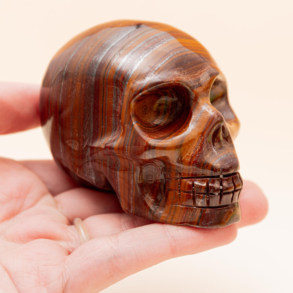 Tiger Iron Skull - 383g/6cm