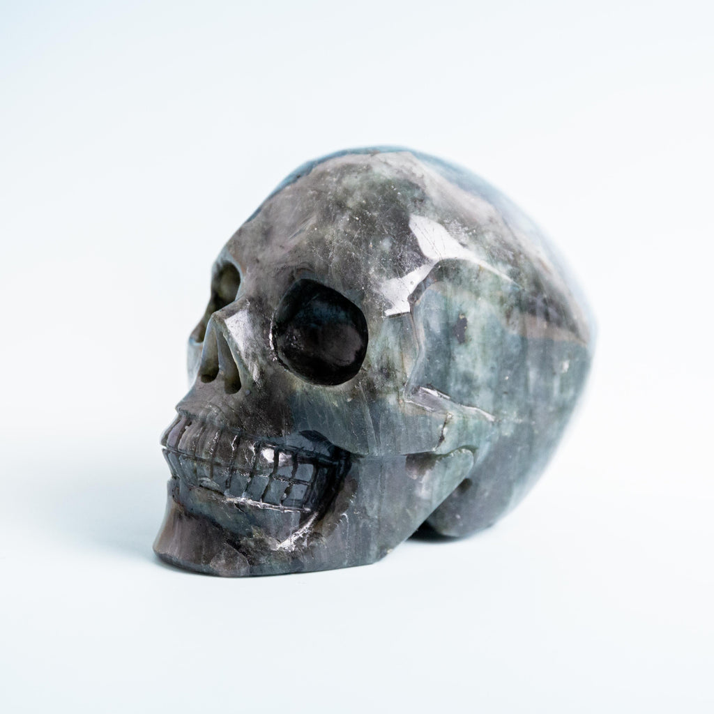 Labradorite Skull - 1214g/13cm