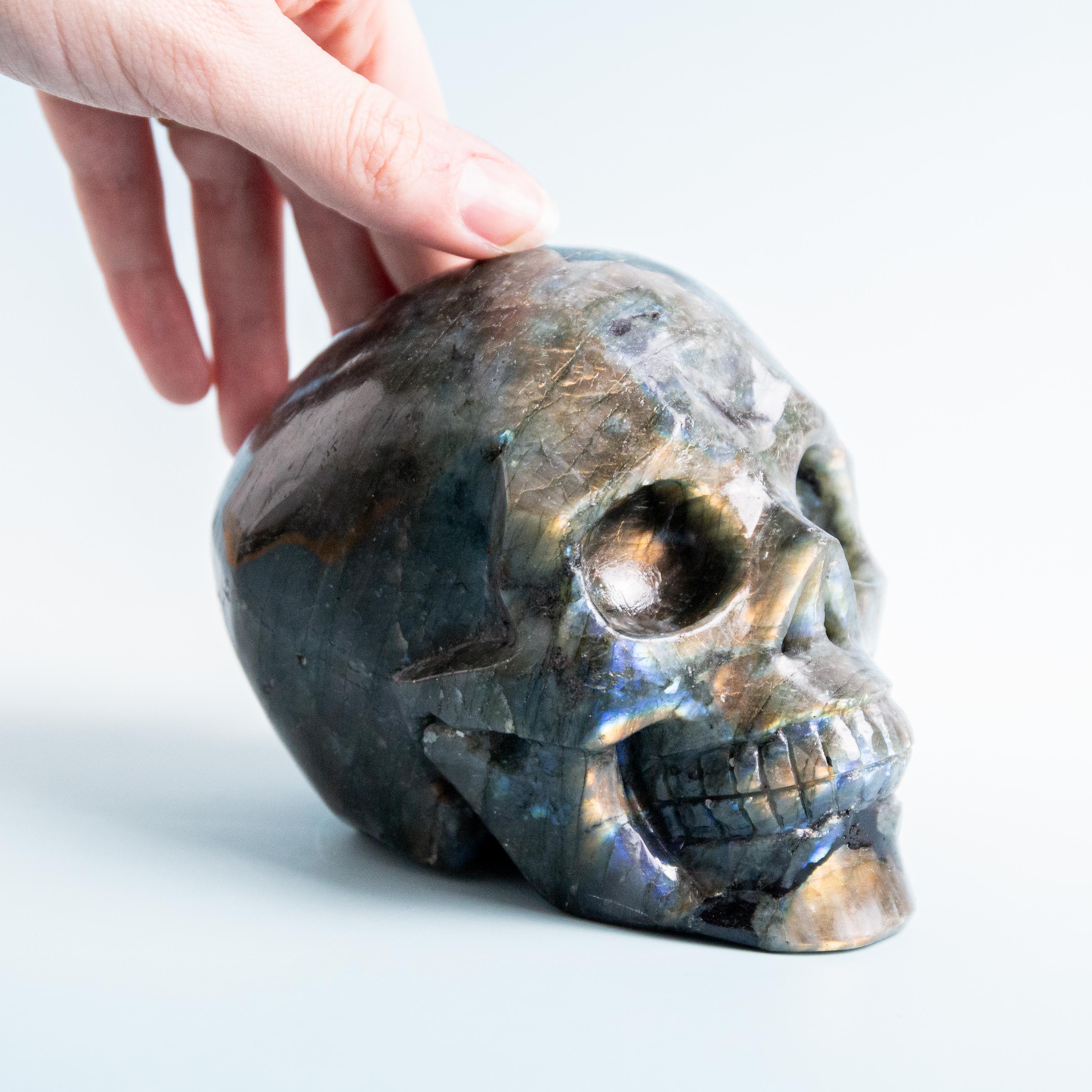 Labradorit Koponya - 1214g/13cm