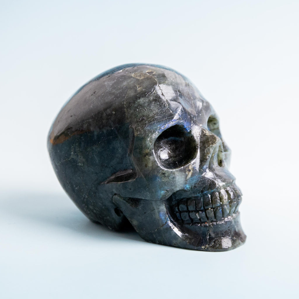 Labradorite Skull - 1030g/12cm