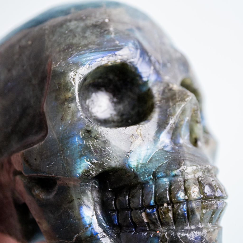 Labradorite Skull - 1030g/12cm