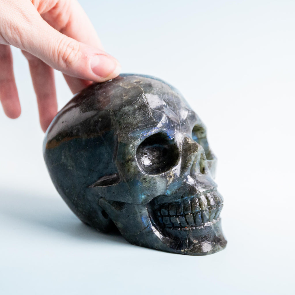 Labradorite Skull - 1030g/12cm