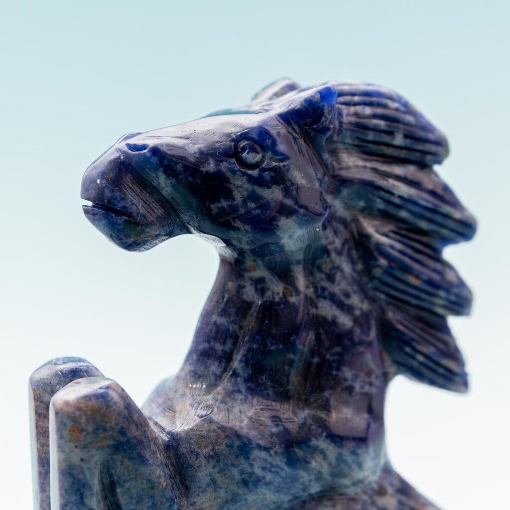 Sodalite Horse - 341g/15cm