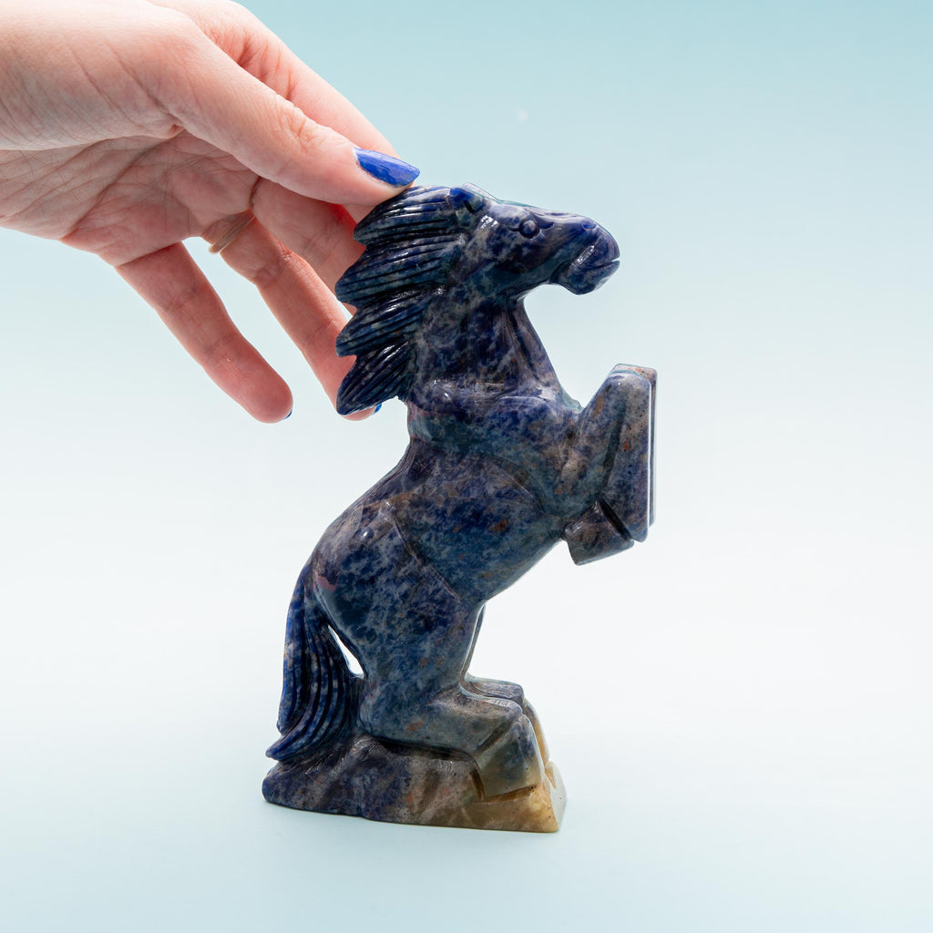 Sodalite Horse - 341g/15cm