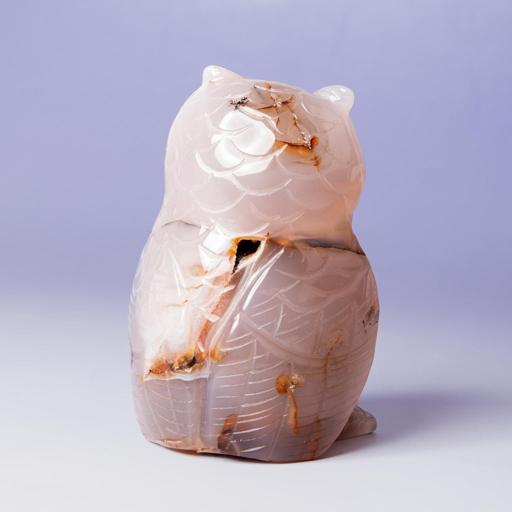 Agate Owl -
