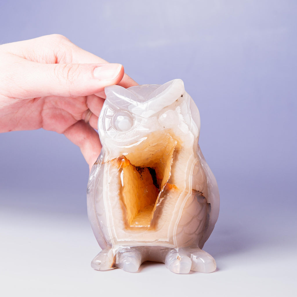 Agate Owl -
