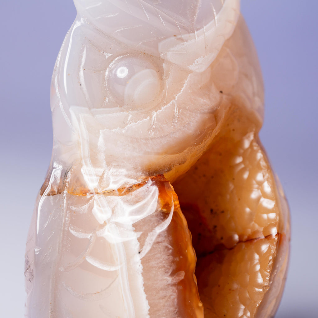 Agate Owl -