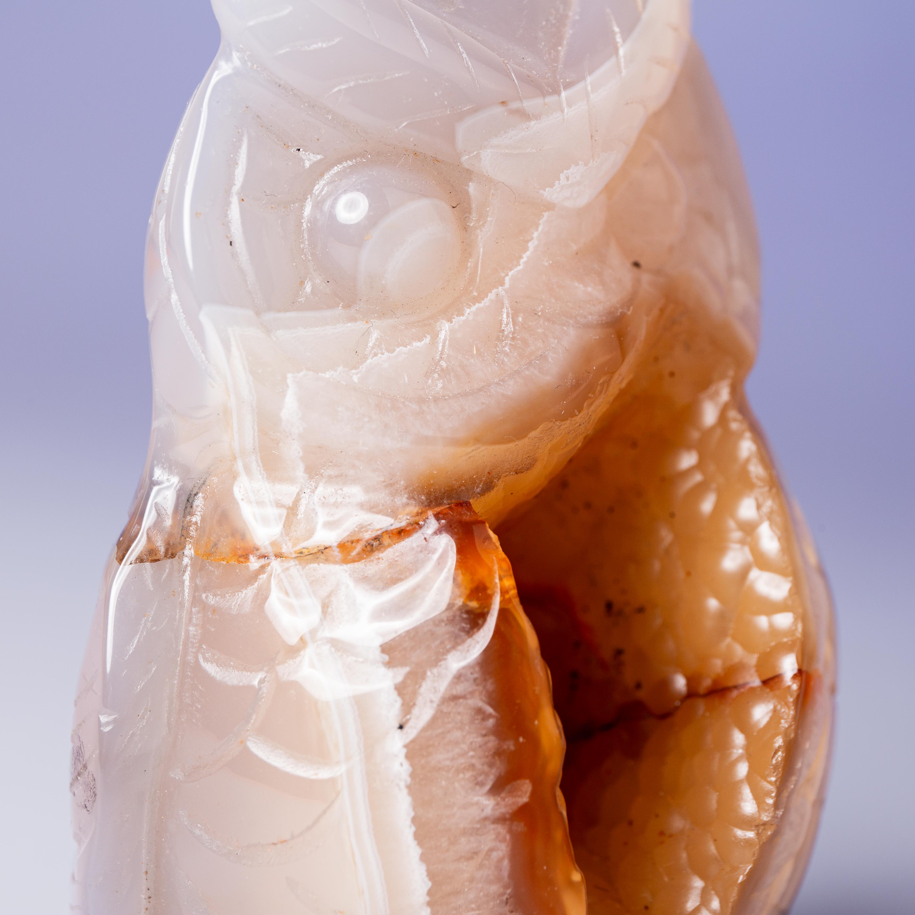 Agate Owl -