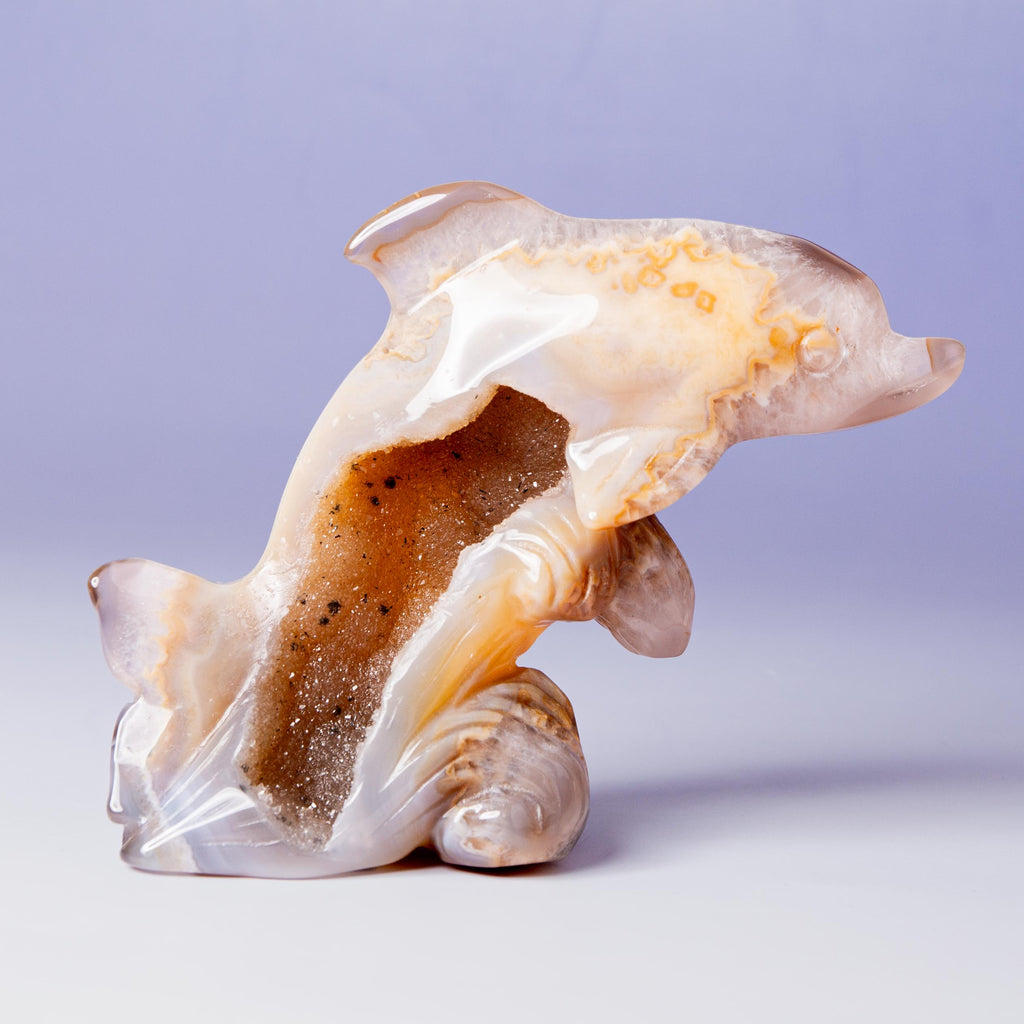 Agate Dolphin - A