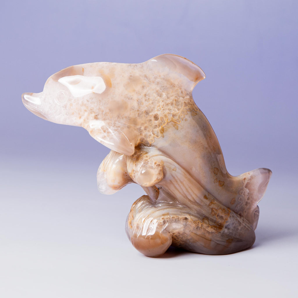 Agate Dolphin - A