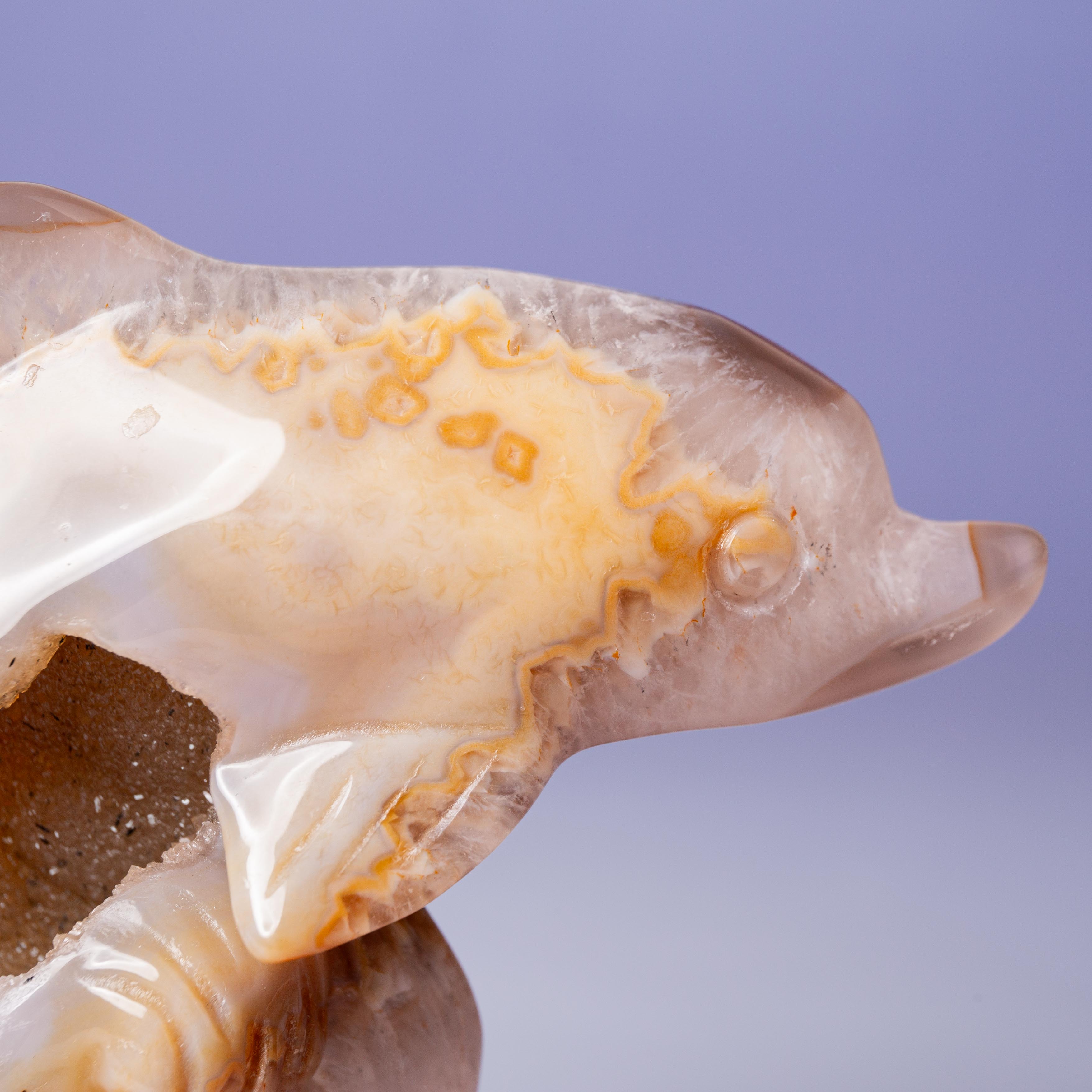 Agate Dolphin - A
